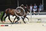 18_2025_DR_Landes_8
