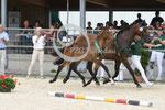 50_2025_SP_Landes_14