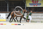 50_2025_SP_Landes_11