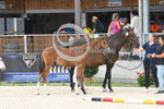 49_2025_SP_Schweiger_13