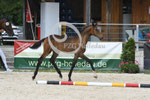 50_2025_SP_Landes_6