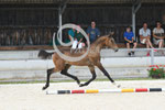 50_2025_SP_Landes_5