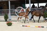 49_2025_SP_Schweiger_10