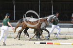 38_2025_SP_Gruber_3