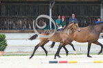 50_2025_SP_Landes_1