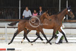 2_2022_Landes_1