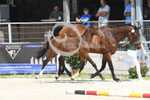 37_2025_SP_Visser_15