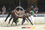 18_2025_DR_Landes_3