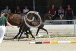 18_2025_DR_Landes_9