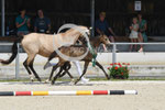 29_2025_P_Visser_18