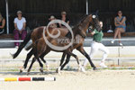 18_2025_DR_Landes_2