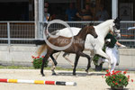47_2025_SP_Ludwig_7