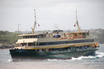 Manly Ferry - sails all and every day
