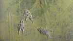 Verdediging, blinddruk krijt papier, ongeveer 8cmx16cm, € 150,-
