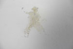 Slecht zicht, blinddruk krijt papier, ongeveer 8cmx16cm, € 150,-