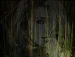 mein erstes Galerie Bild in der VIEW Community