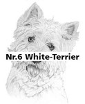 Nr.6 White-Terrier