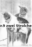 Nr.9 zwei Strolche