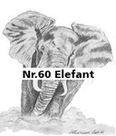 Nr.60 Elefant