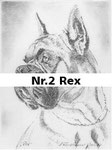 Nr.2 Rex