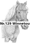 Nr.129 Winnetou