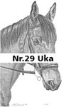 Nr.29 Uka