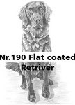 Nr.190 Flat coated Retriver