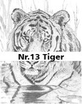 Nr.13 Tiger