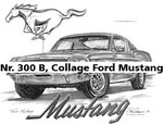 Nr. 300 B, Collage Ford Mustang