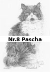 Nr.8 Pascha