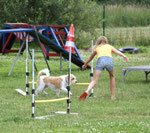 Joana & Famke, Agility-Training bei Dog City im Sommer 2009