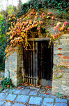 Herbst in den Weingärten von Enzersfeld