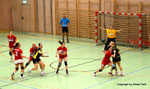Damenhandball Union Korneuburg - SG UHC A. Landhaus  32 : 25