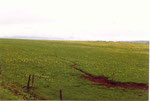 prairie à Chaudeyrac