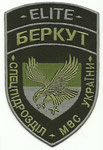 Special Unit BERKUT (SWAT)