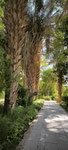 Jardin botanique d'Assouan