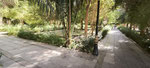 Jardin botanique d'Assouan