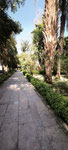 Jardin botanique d'Assouan
