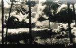 Orage sur la forêt des Landes