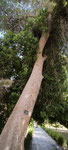 Jardin botanique d'Assouan