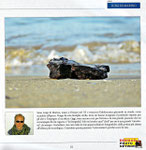 Titolo foto: Un sassolino sulla spiaggia.