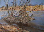 Treibgut Diemel  - Acryl 80 x 60 = 160