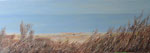 Meer und Dünen - Acryl 90 x 30 = € 130