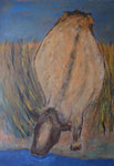 Kuh am Fluss - Acryl 60 x 80
