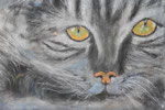 Le Chat - Mischtechnik 80 x 60 = € 180