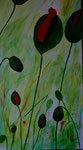 Mohnkapsel - Acryl 40 x 80 €120