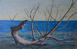 Treibgut Nordsee  - Öl 60 x 40 = 130