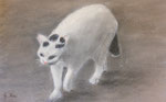 Kanukatze1 . Pastell 40 x 30
