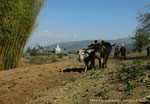 Village de Tapting