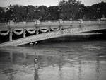 Paris inondé, 2016